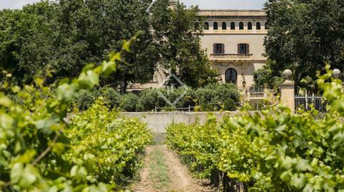 Foto 4 de Finca rústica en venta en Banyeres del Penedès, Tarragona
