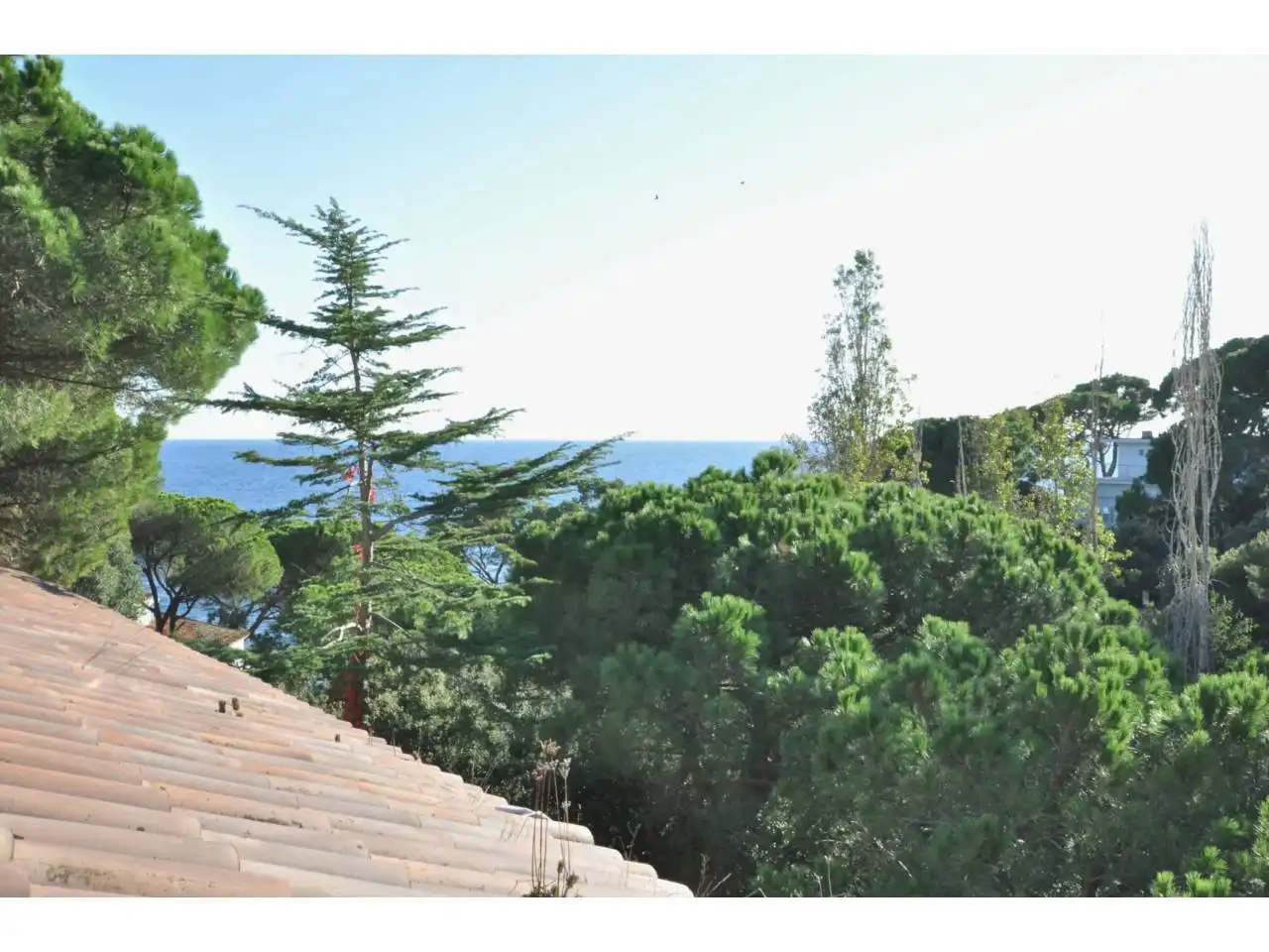 Jardín de Casa o chalet en venta en Lloret de Mar con Calefacción, Jardín privado y Terraza