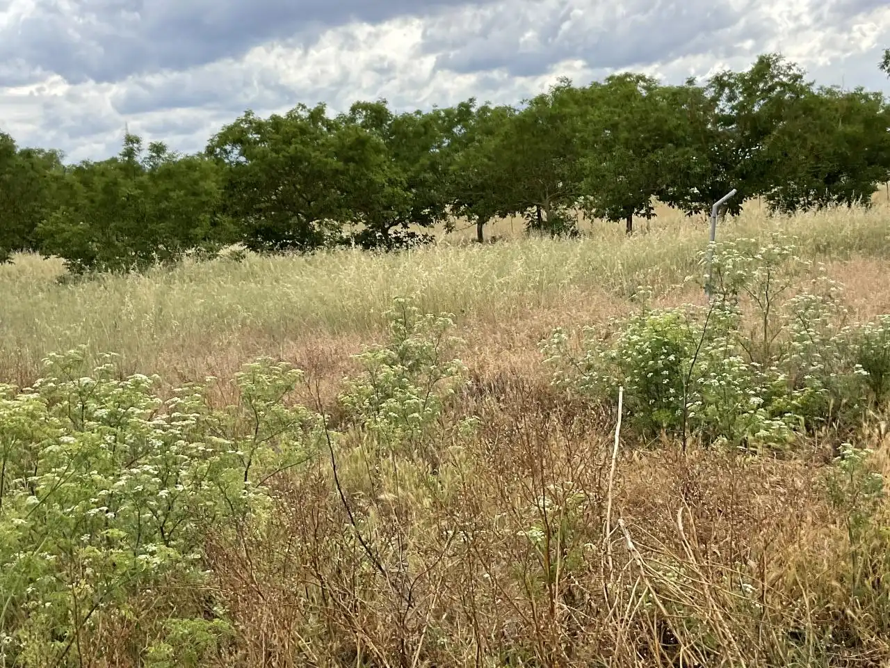 Nave industrial en venta en Villalobar de Rioja