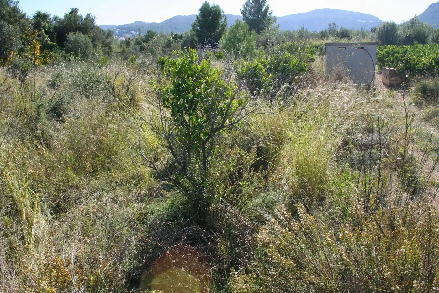 Residential land for sale in Orba, imagen 7