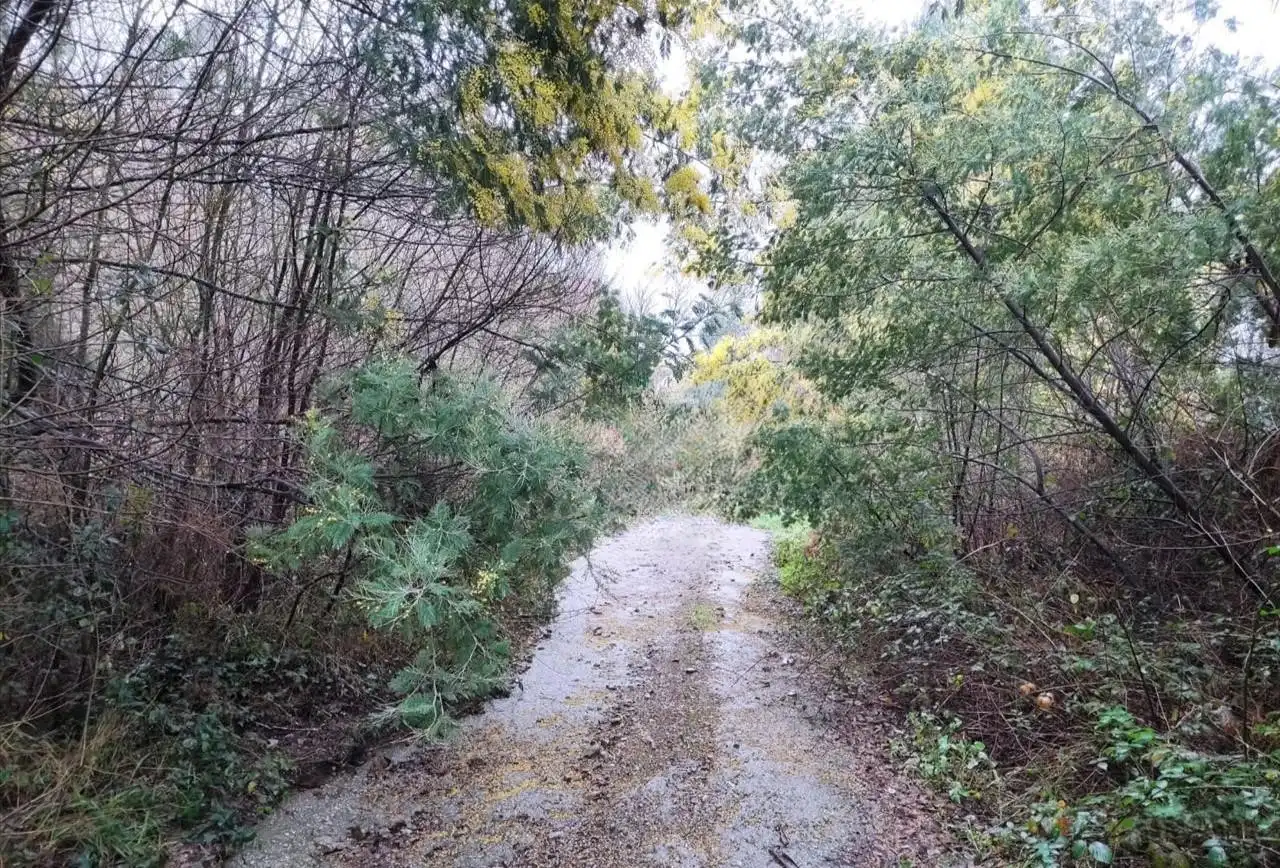 Terreni e lotti in vendita a 16. Parcela, imagen 13