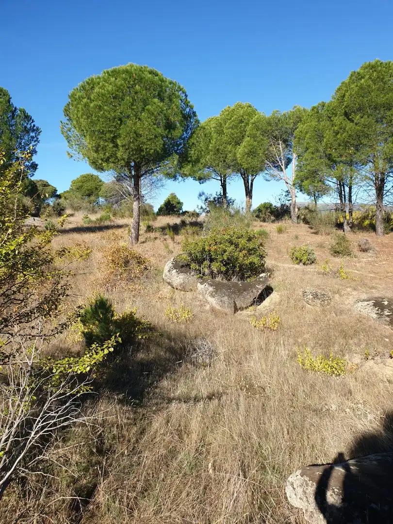 Terreny en venda en El Tiemblo 