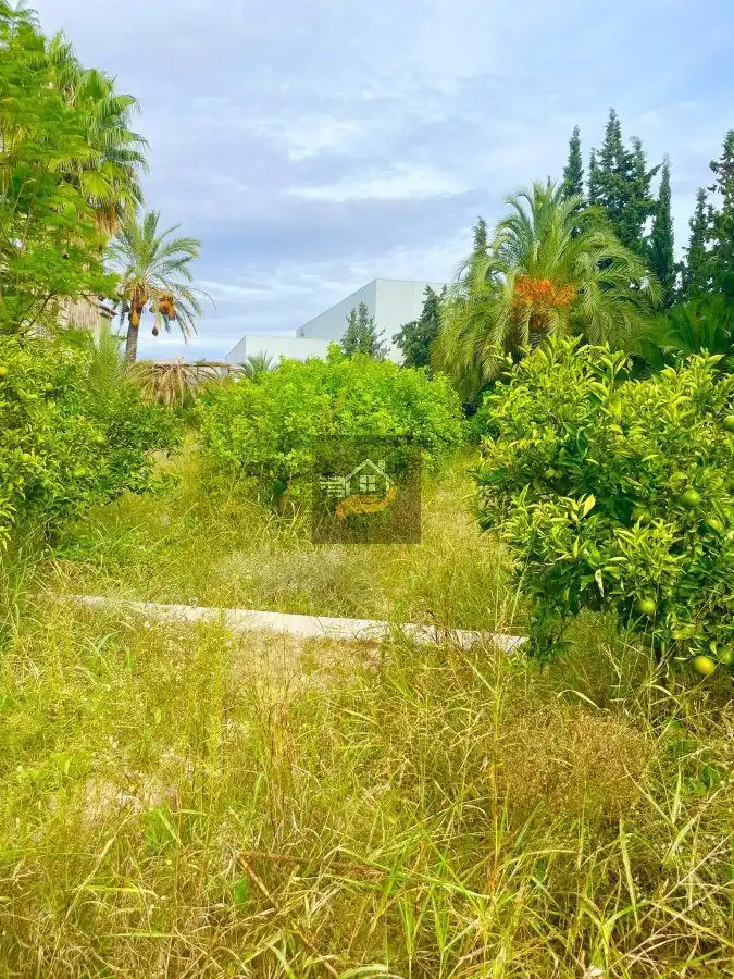 Casa o chalet en venta en Molina de Segura con Terraza