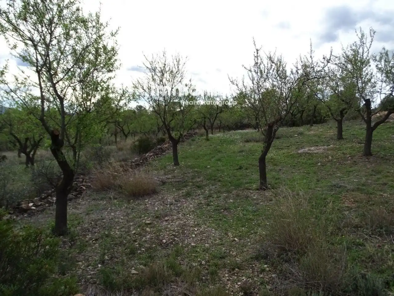 Villa à vendre à Xerta, imagen 3