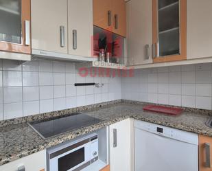 Kitchen of Flat to rent in Ourense Capital 