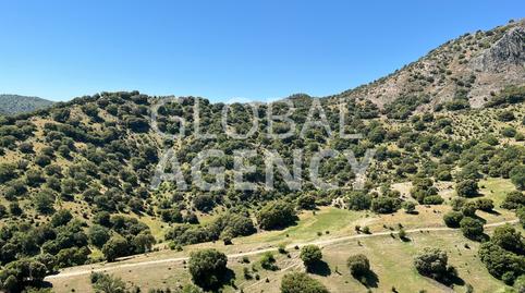 Photo 3 of Land for sale in Belén - San Roque,  Jaén Capital