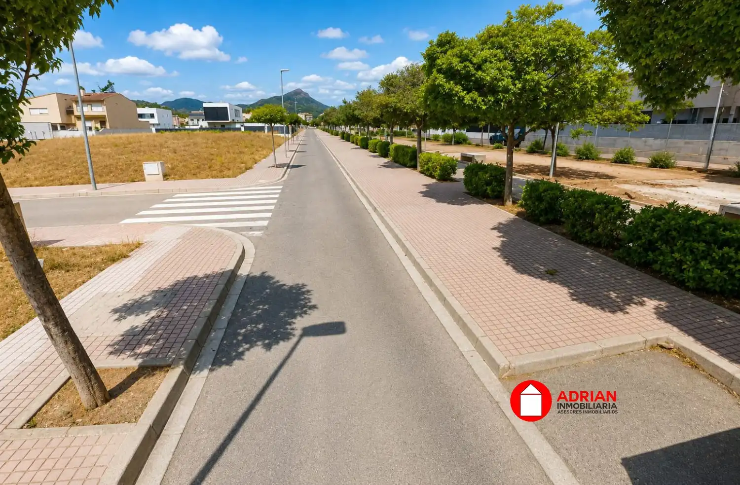 Terrenos y solares en venta en La Vall d'Uixó, imagen 7