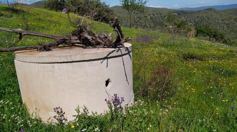 Foto 5 de Terreno en venta en Cártama, Málaga