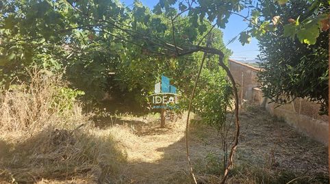Foto 3 de Casa o chalet en venta en Guareña, Badajoz