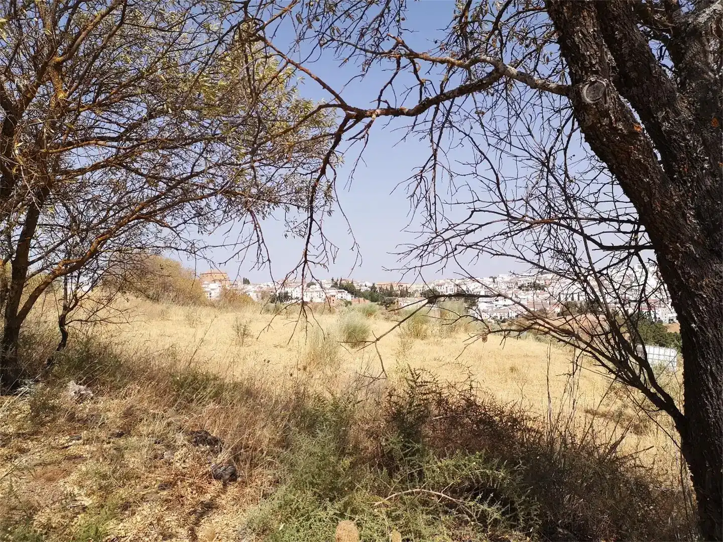 Finca rústica en venda en Ronda