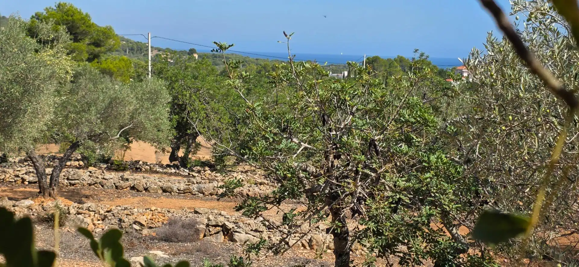 Finca rústica en venda en El Perelló amb Jardí privat, Terrassa i Traster