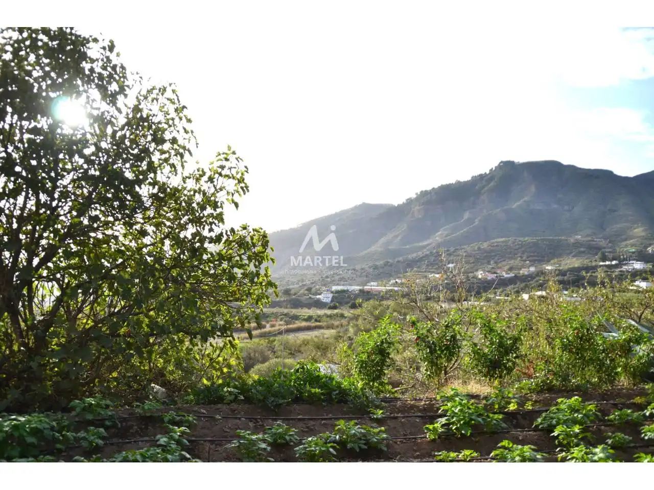 Land for sale in Valsequillo de Gran Canaria