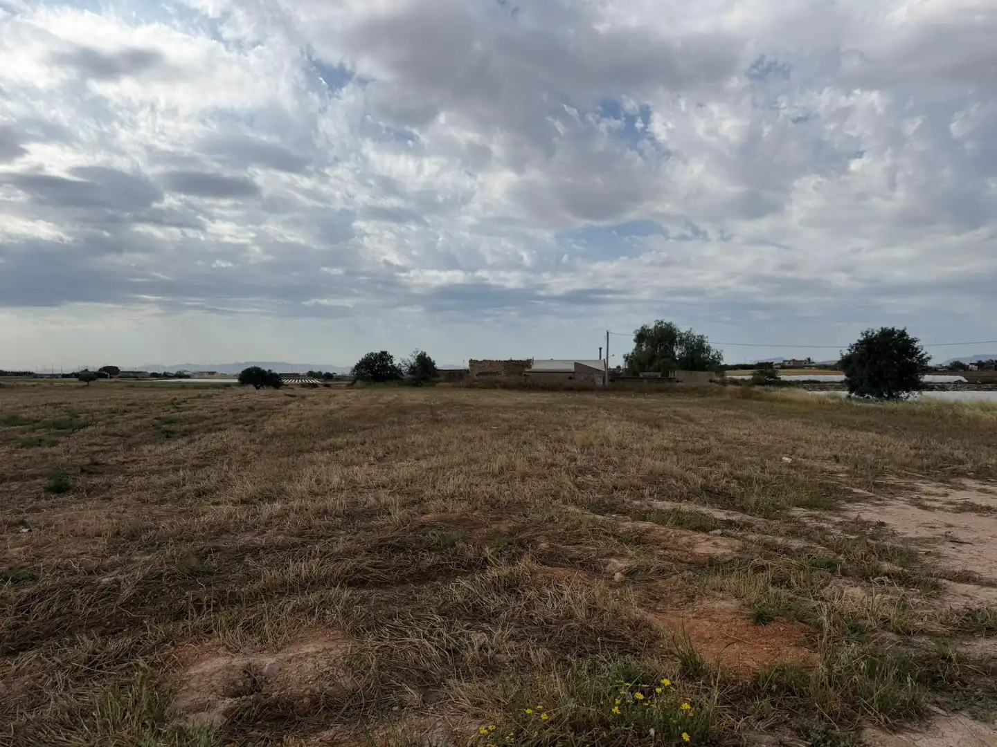 Terreno en venta en Torre-Pacheco