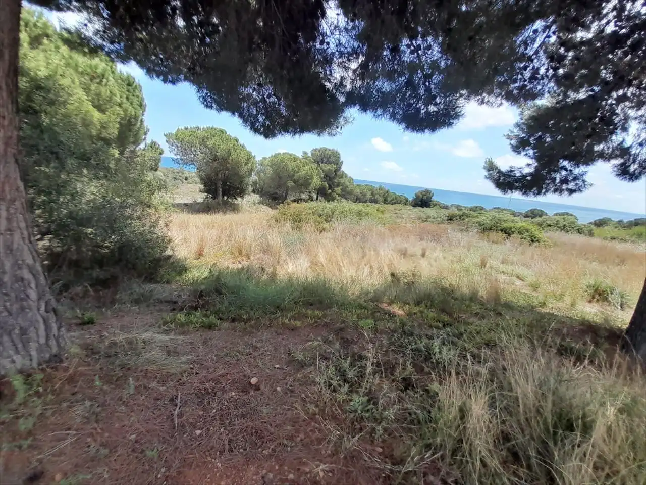 Residential land for sale in FONT NOVA, imagen 3