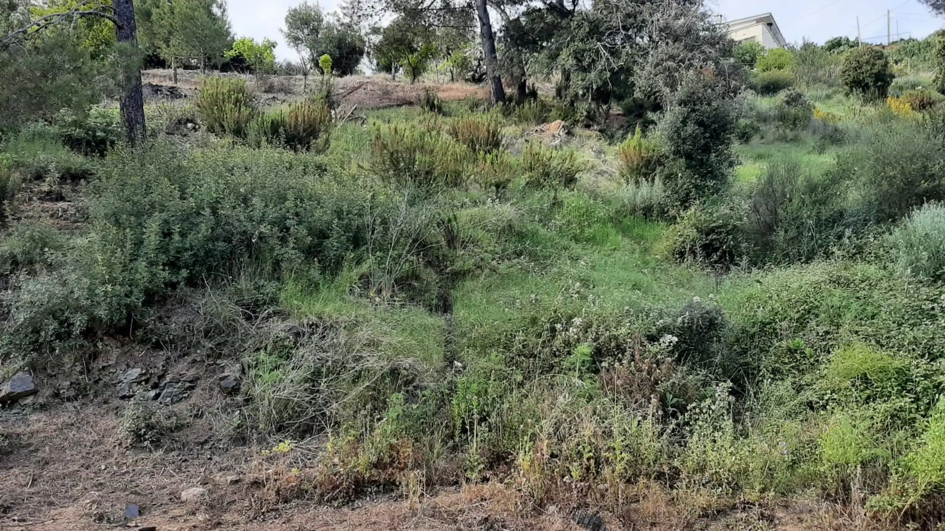 Residencial en venta en Santa Susanna