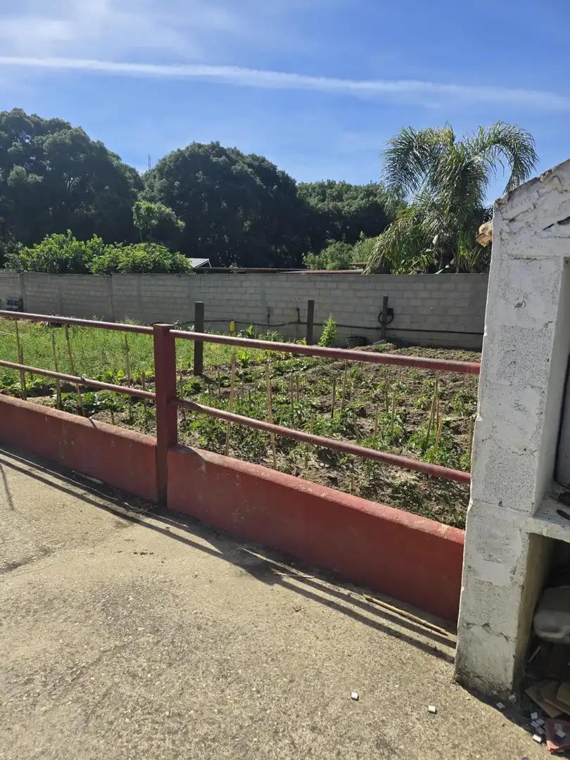 Terreni e lotti in vendita a Los Barrios