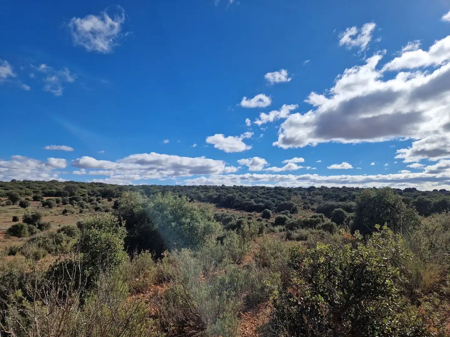 Rural land for sale in Pantano de Peñarroya 0, imagen 40