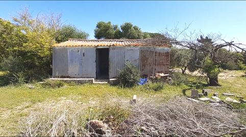 Foto 3 de Finca rústica en venda a El Almedral, Cádiz