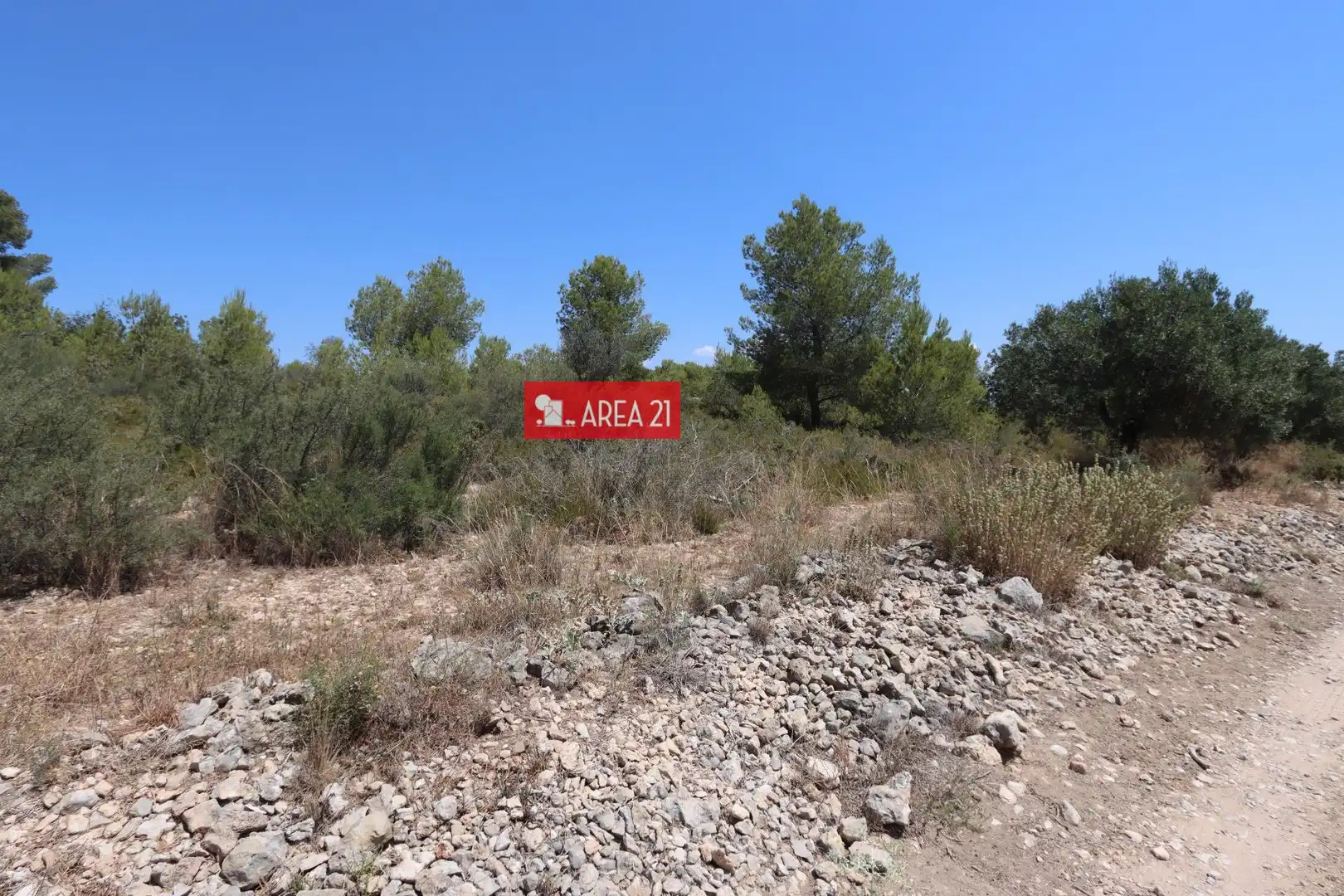 Terreno rústico en venta en Pla dels Aljubs, imagen 4