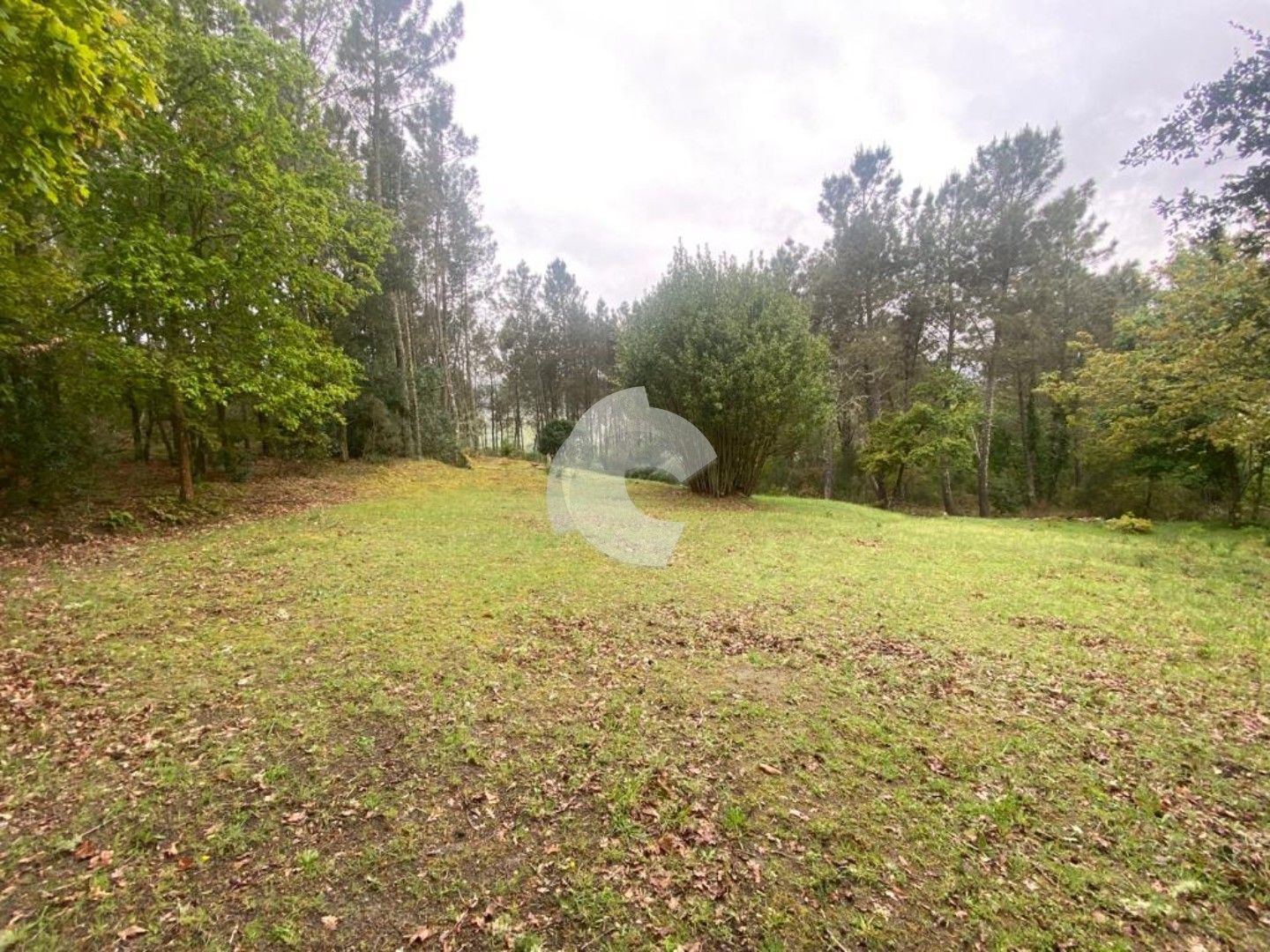 Residential for sale in O Pereiro de Aguiar 