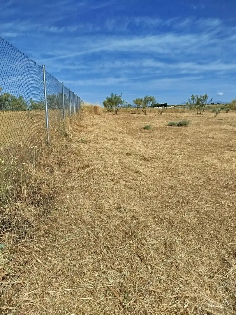 Terreno rústico en venta en Fuencarral - El Pardo, imagen 34