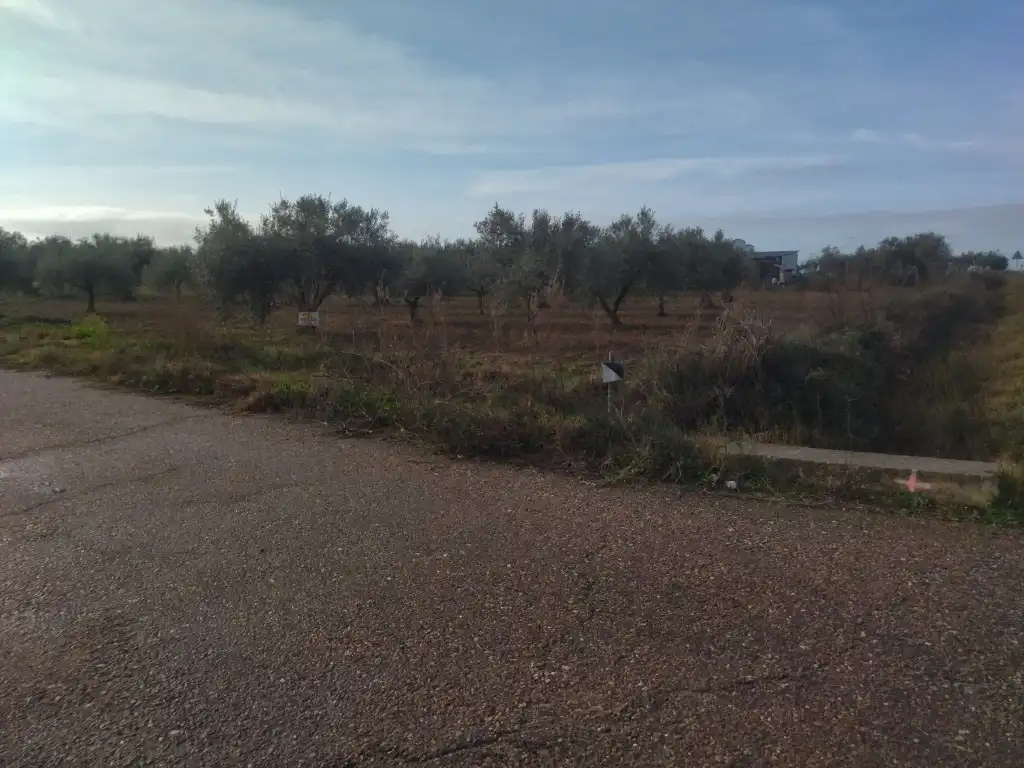 Terrain rustique à vendre à Don Benito, imagen 10