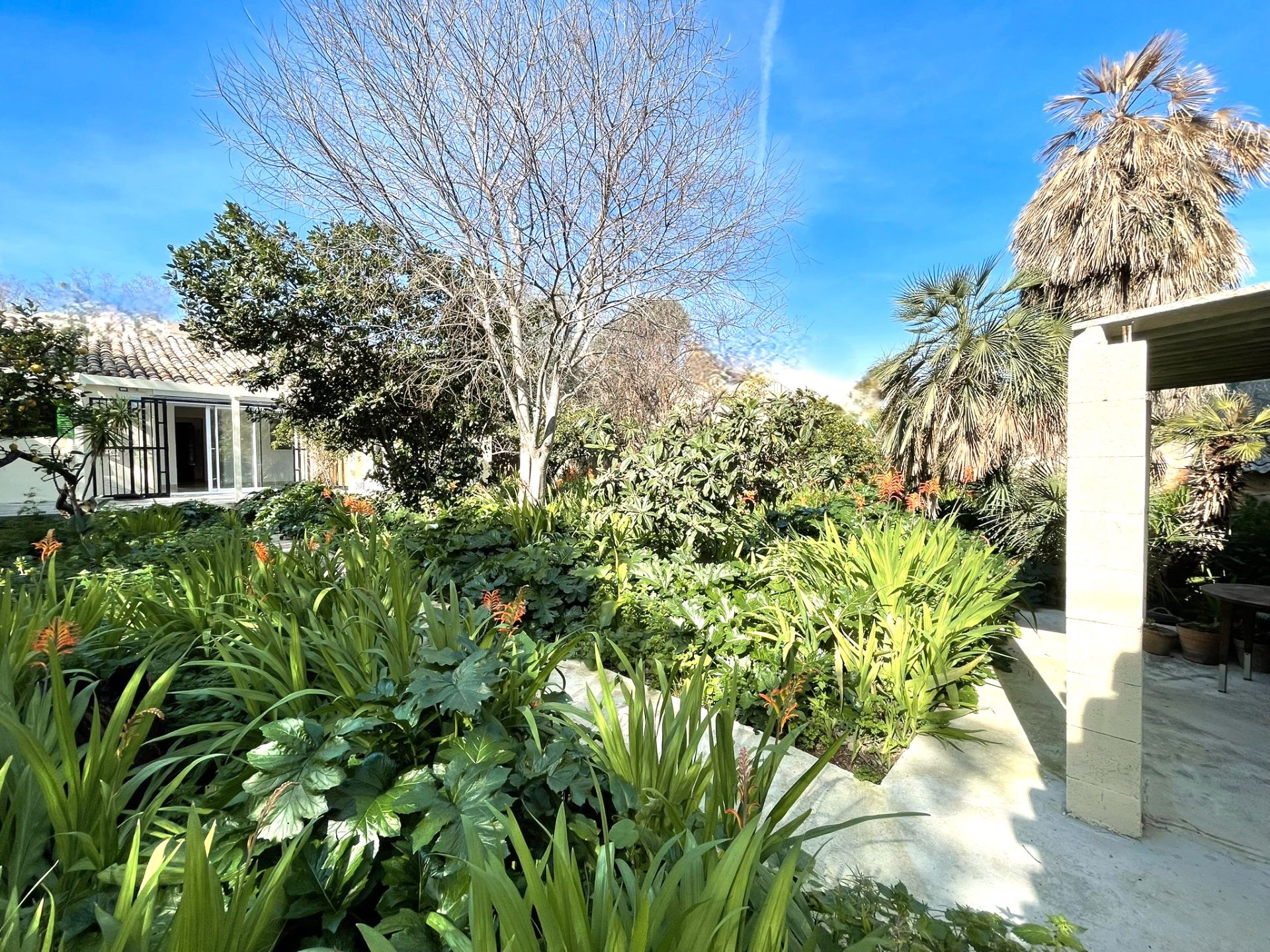 Jardí de Casa o xalet de lloguer en  Palma de Mallorca amb Aire condicionat, Jardí privat i Traster