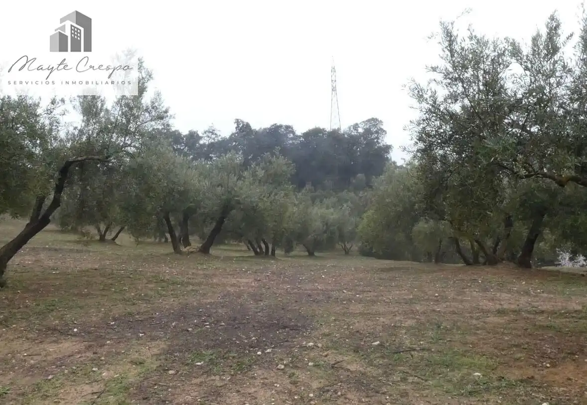 Terreni e lotti in vendita a Peligros, imagen 23