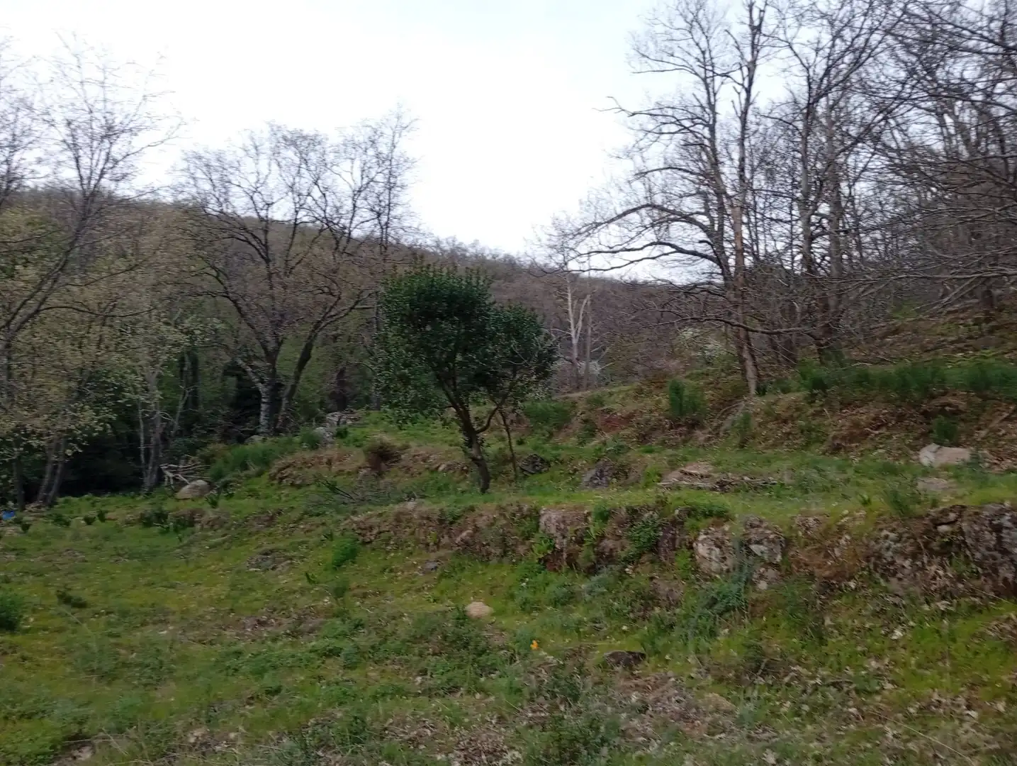 Terreni e lotti in vendita a Valverde de la Vera, imagen 106