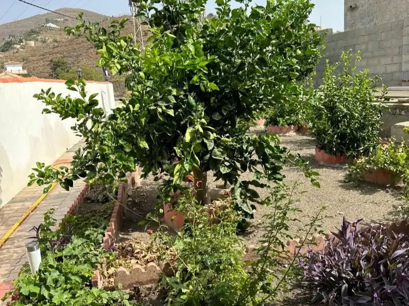 Maison avec jardin à vendre à Urbanización Alfamar 14, imagen 8