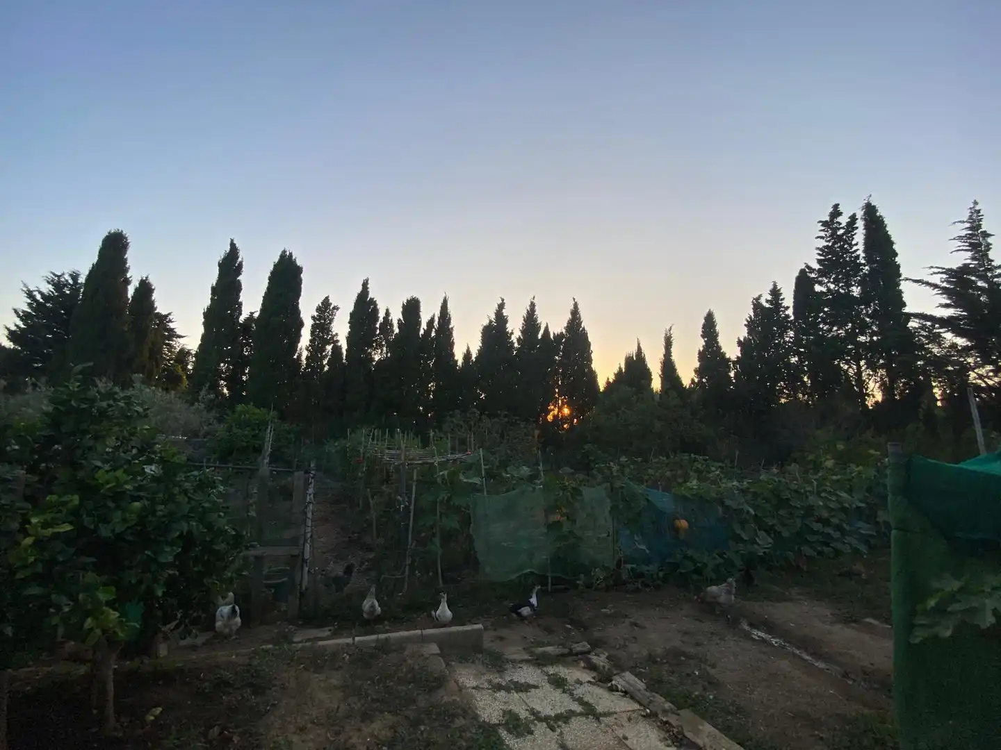 Villa avec piscine à vendre à Las Lagunas - Campano, imagen 12