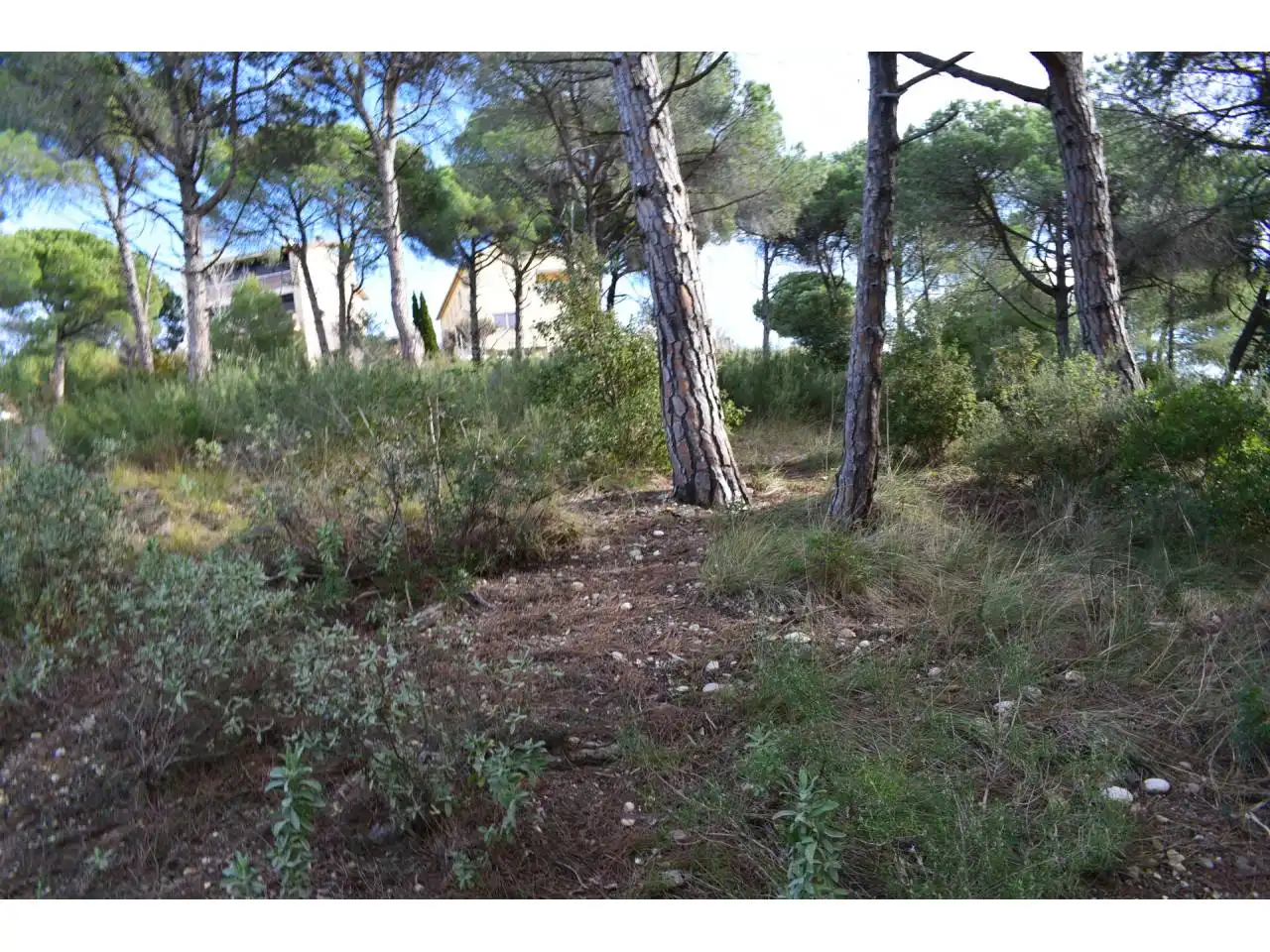 Terreny rústic en venda a Castellnou - Can Mir - Can Solà