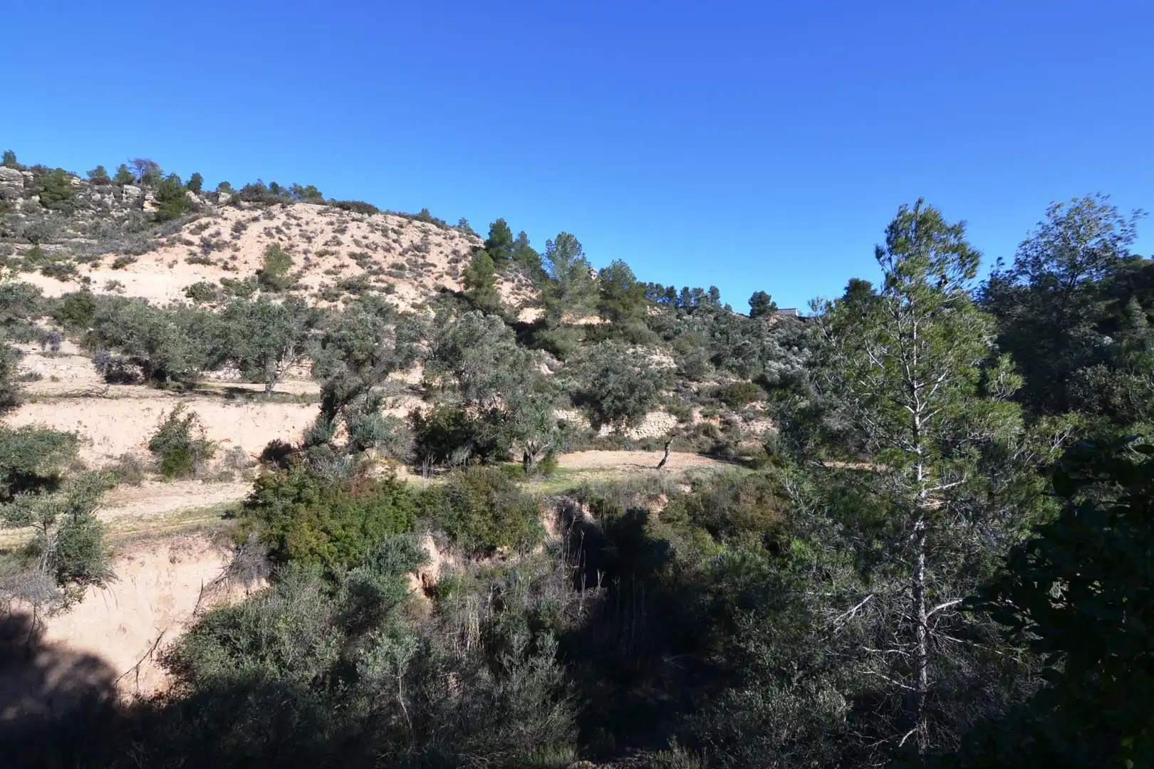 Rural land for sale in Ascó, imagen 27
