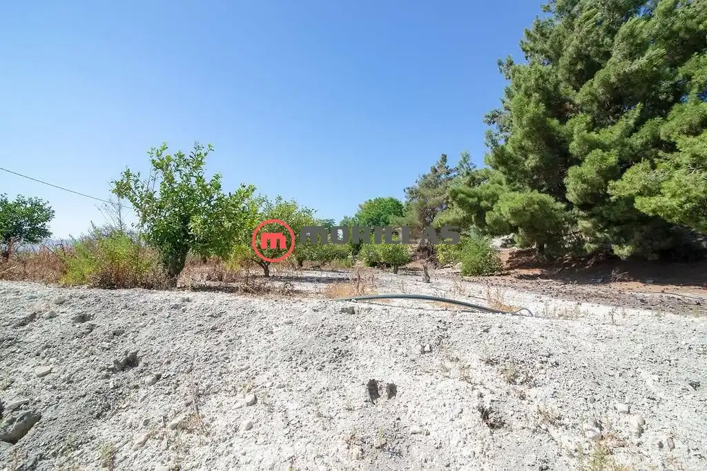 Lands and plots for sale in Carretera de Abanilla 25, imagen 17