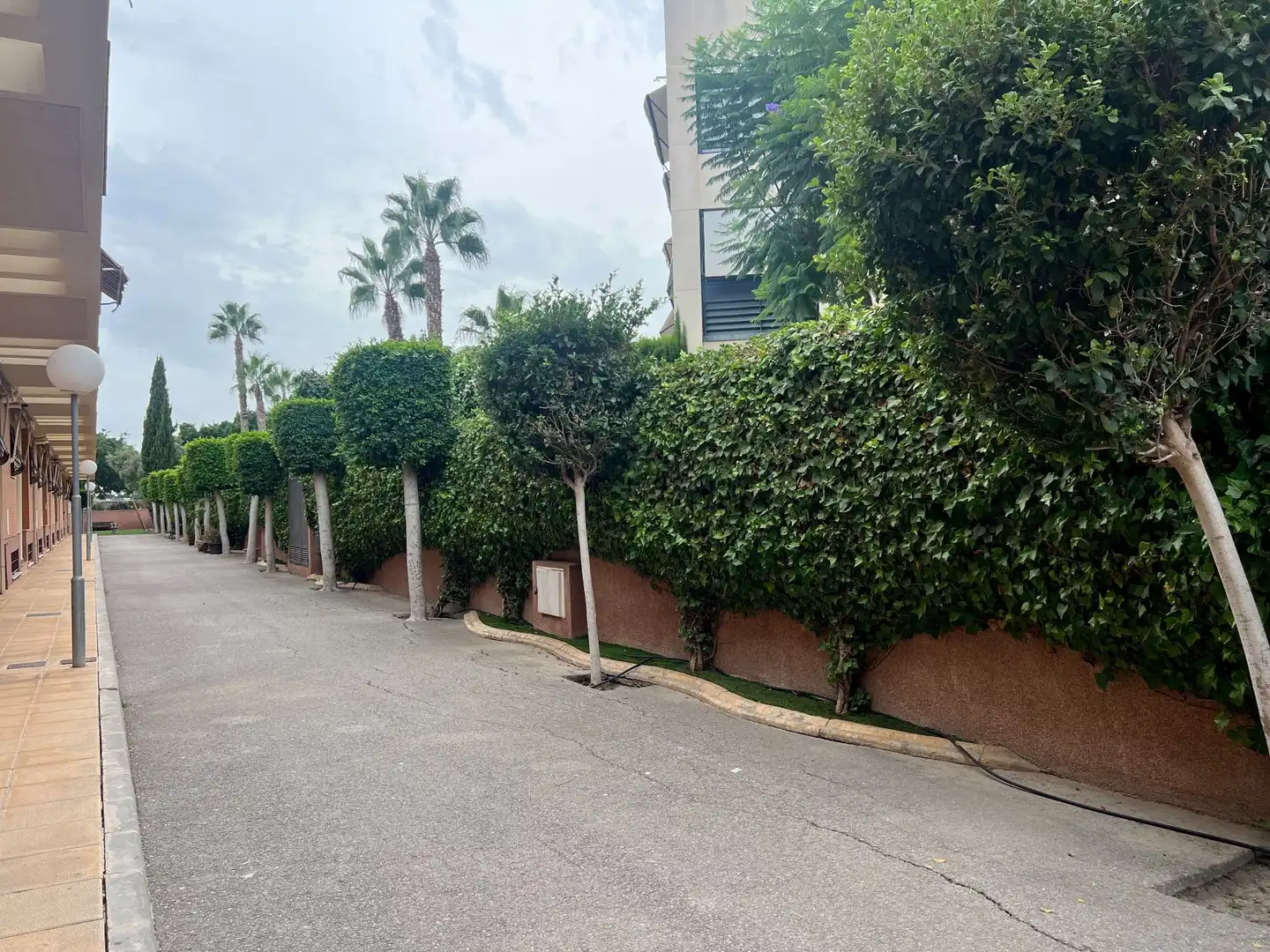 Exterior view of Houses for rent in Alicante / Alacant  with Air Conditioner, Heating and Private garden