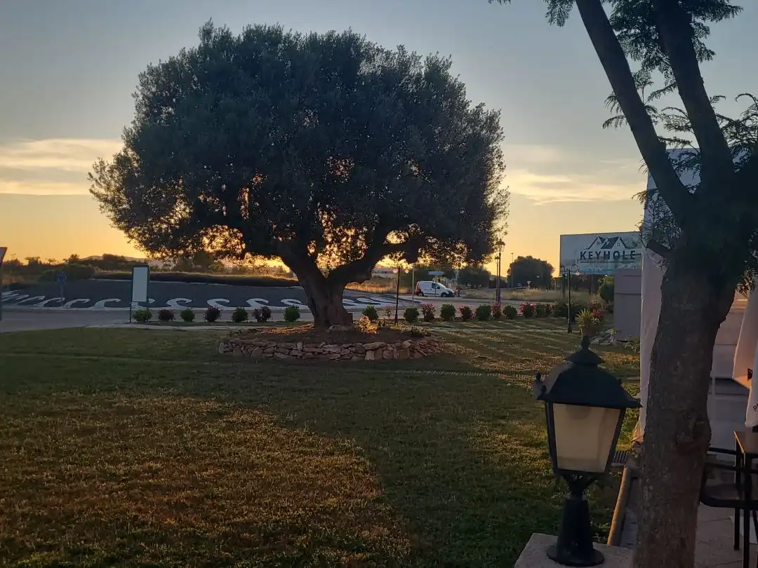 Local en venta en San Jorge / Sant Jordi con Terraza y Alarma