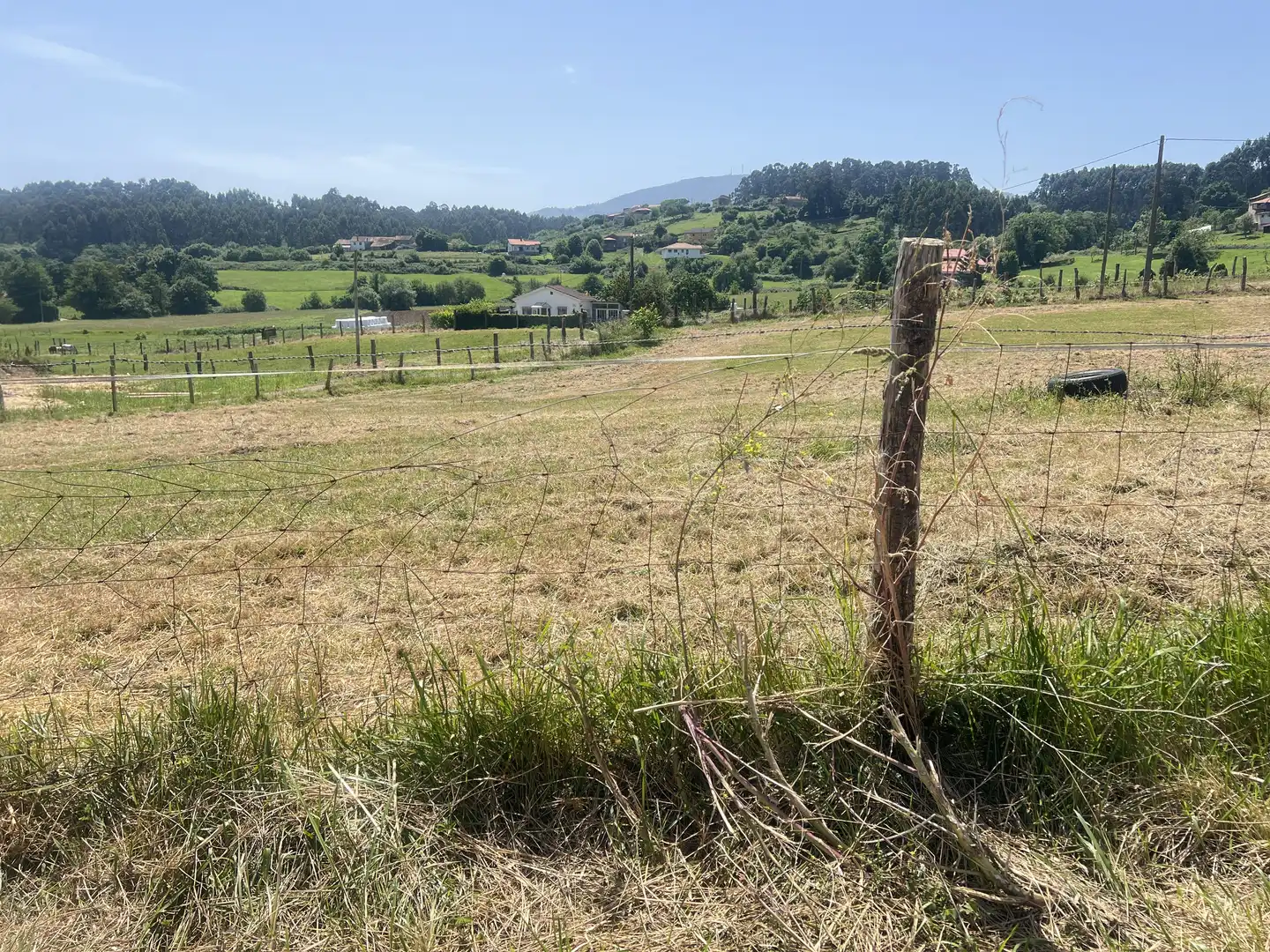 Lands and plots for sale in Pillarno, imagen 6