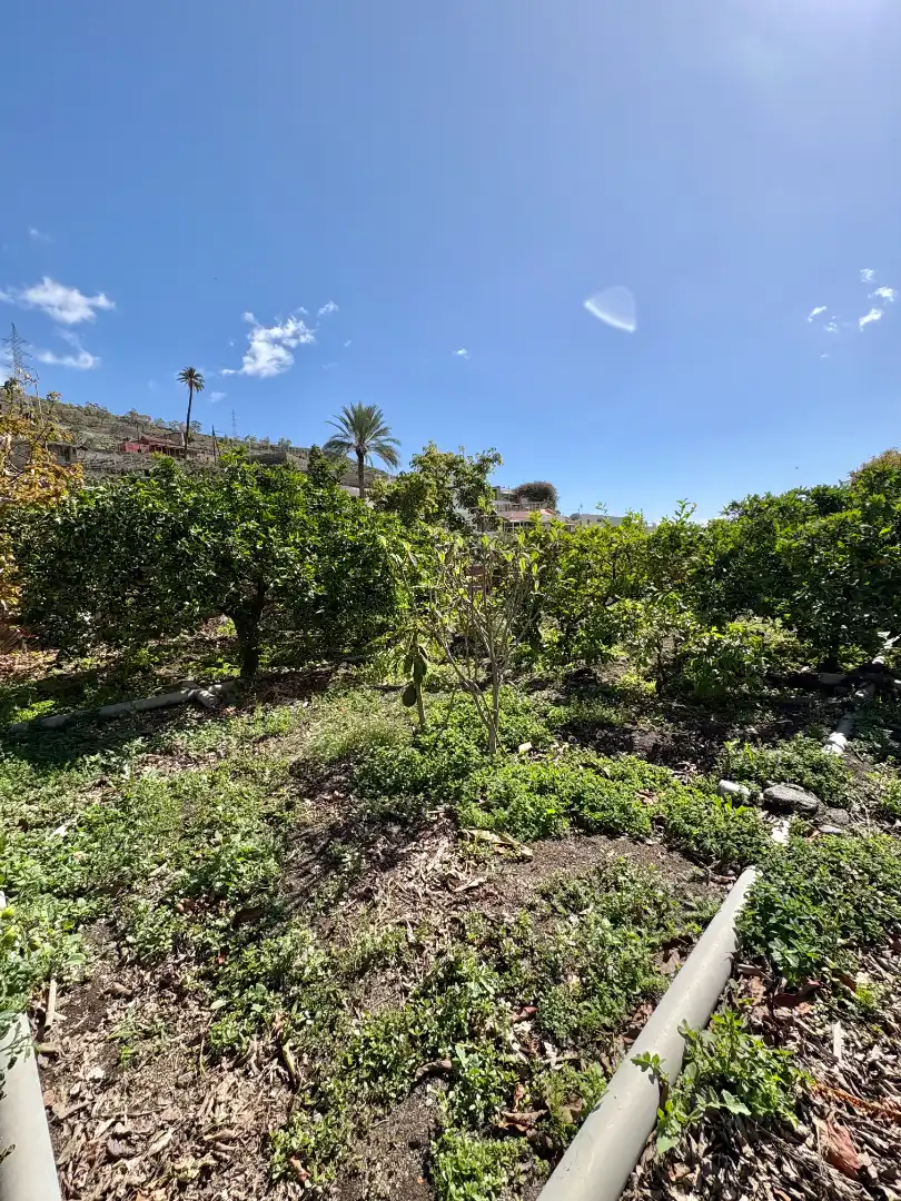 Casa o chalet en venta en Lugar El Mayorazgo, Caserones - La Higuera
