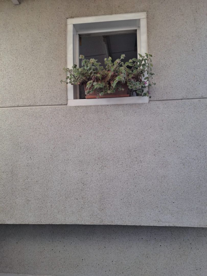 Terrassa de Pis en venda en Terrassa amb Terrassa i Traster