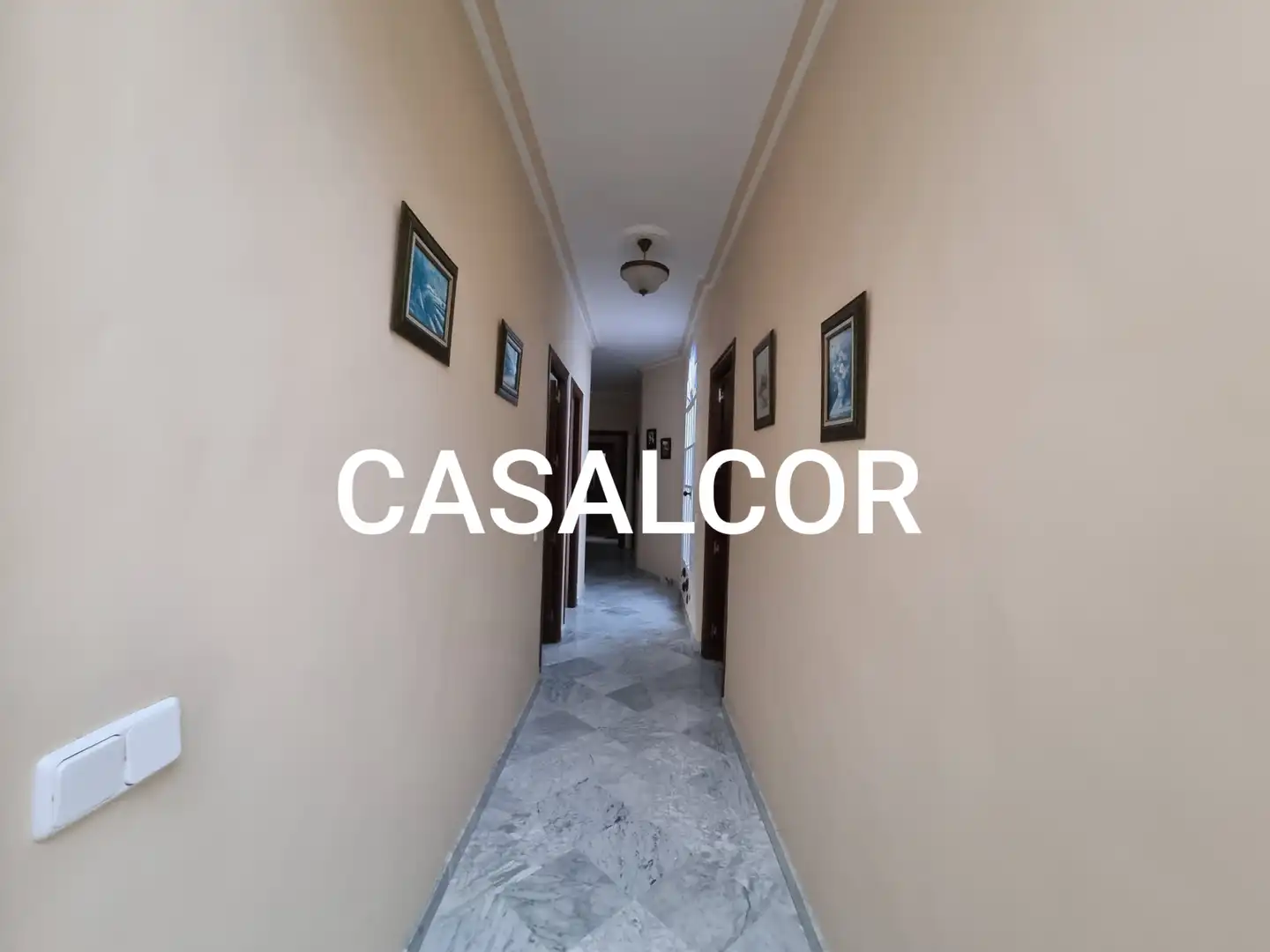 Casa o chalet de alquiler en Mairena del Alcor