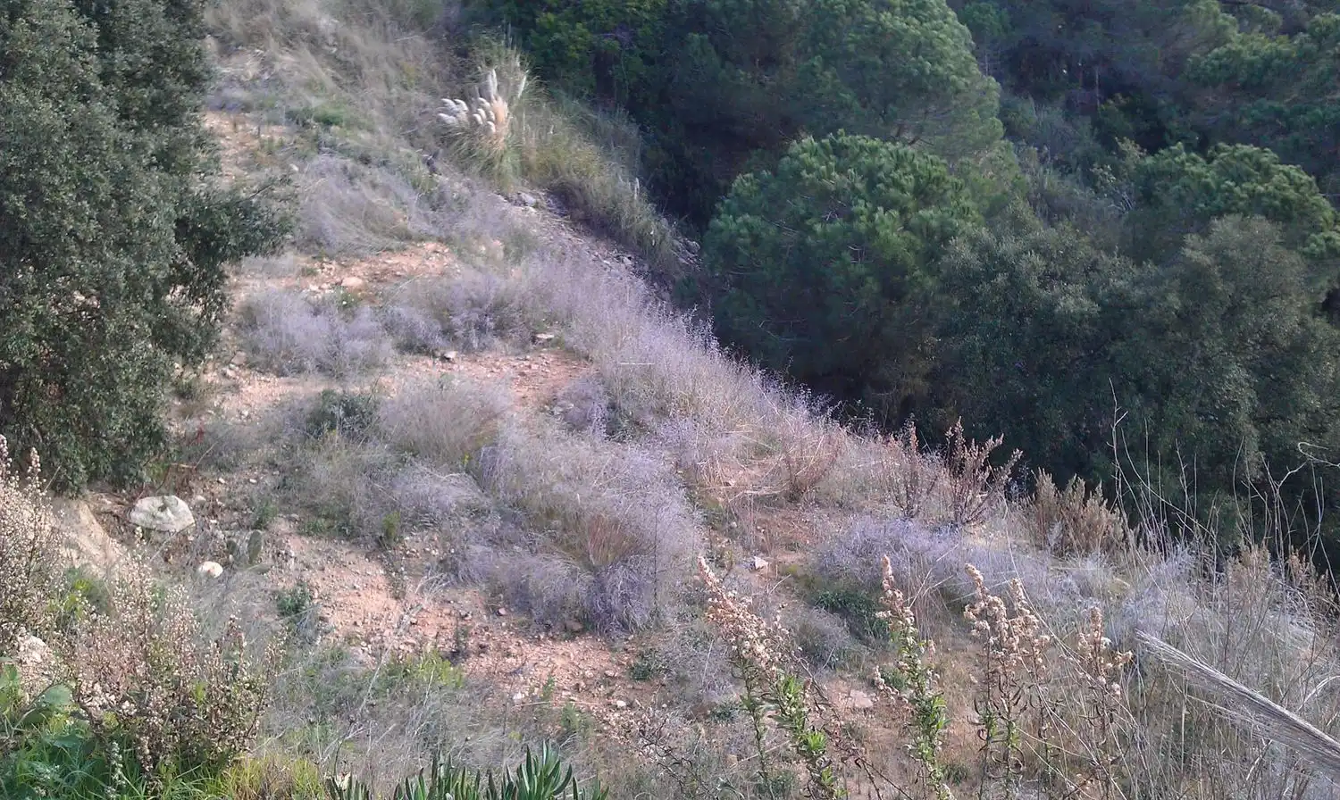 Terrenos y solares en venta en Serra Brava, imagen 8