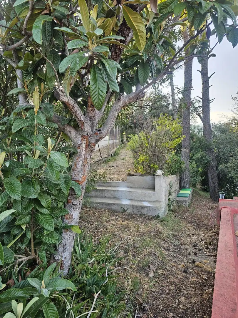 Houses for sale in Esparreguera  with Private garden and Terrace
