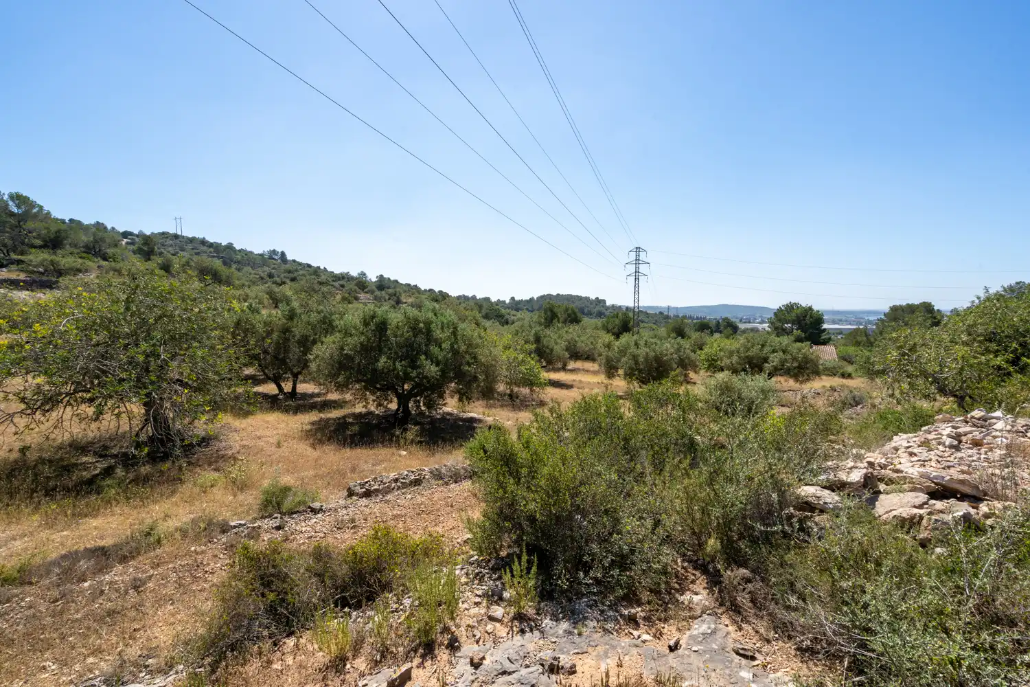 Terrain rustique à vendre à Camí de l'ardiaca 106, imagen 34