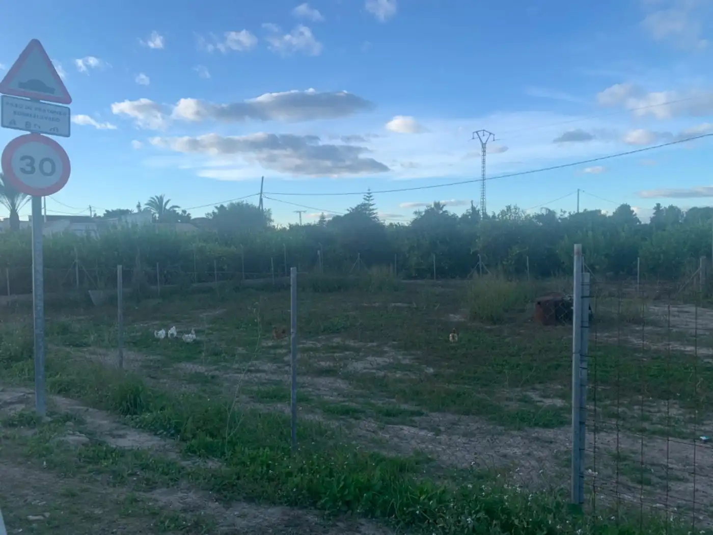 Residential land for sale in Centro, imagen 3