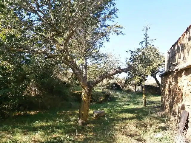 Jardí de Casa o xalet en venda en Santiago Millas