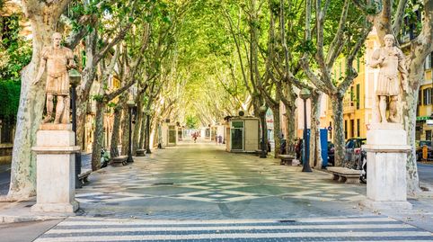 Photo 5 of Buildings for sale in Can Picafort, Santa Margalida