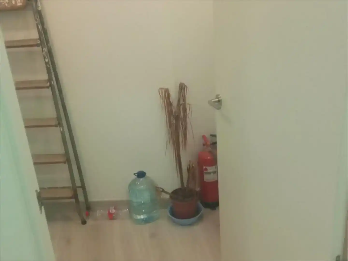Geschaftsraum zur Miete in Cieza