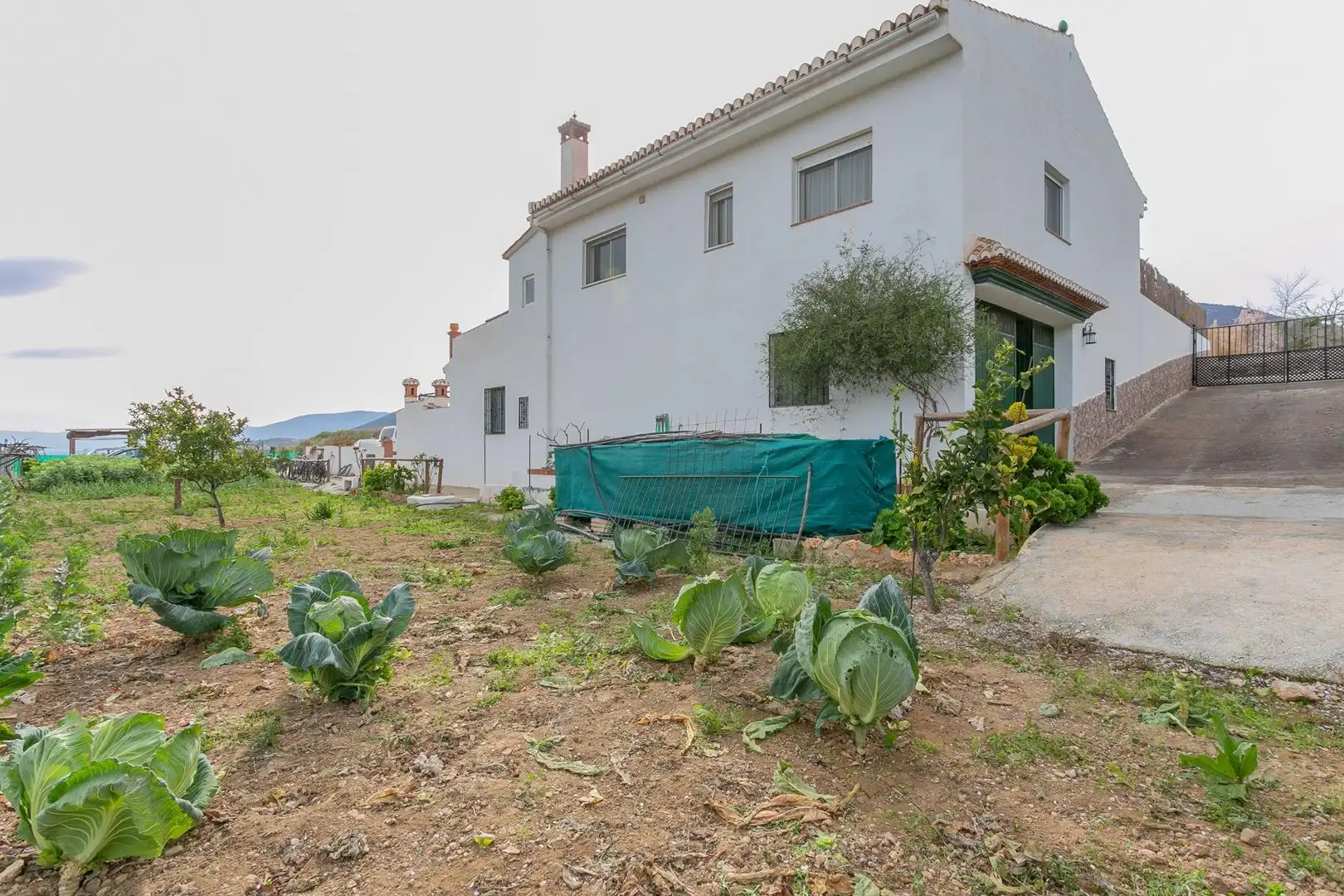 Jardín de Casa o chalet en venta en Albuñuelas con Aire acondicionado, Jardín privado y Terraza