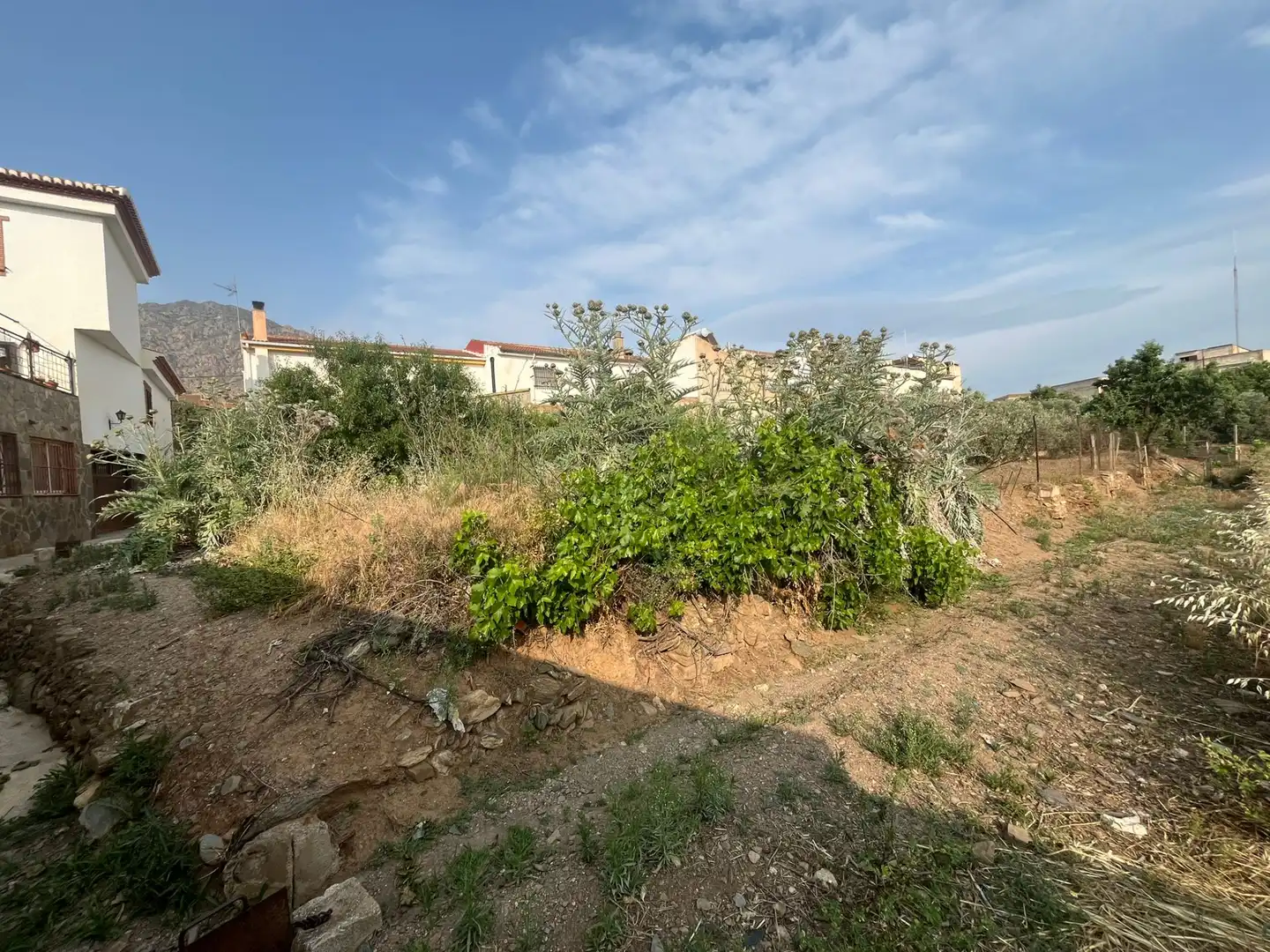 Rural land for sale in Calle Verano