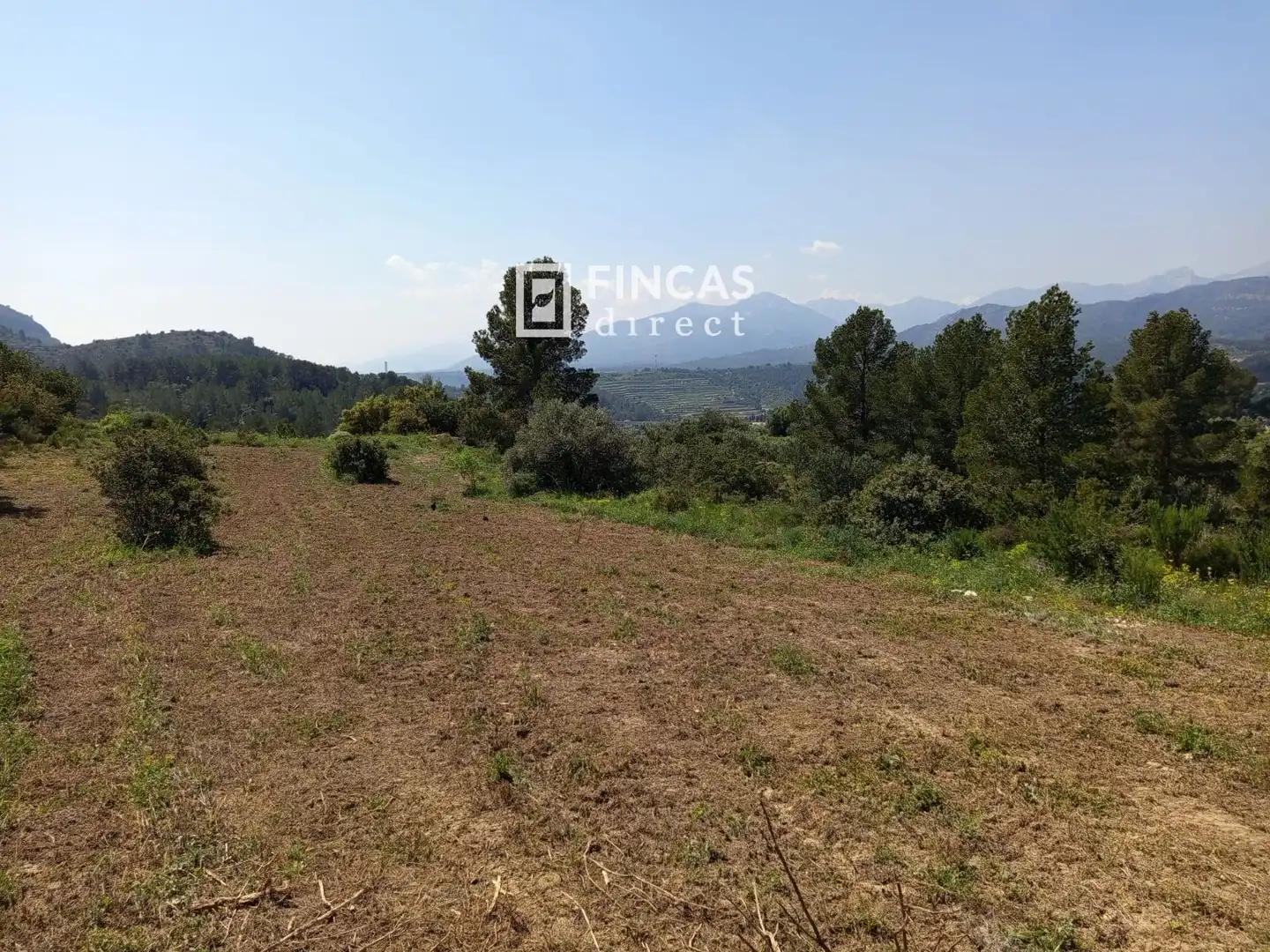 Terrain rustique à vendre à WFXW+MPJ, imagen 14